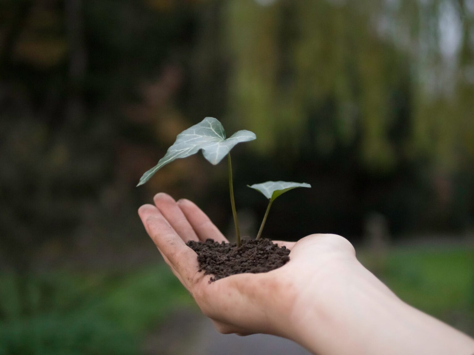 Ecologie la peur du changement