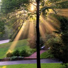 Sunbeams_-1_-1_tonemapped1